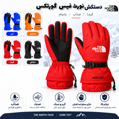 دستکش دوپوش نورث فیس گورتکس